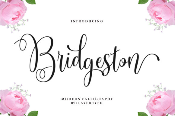 Bridgeston: A Charming Script Font for Web Design